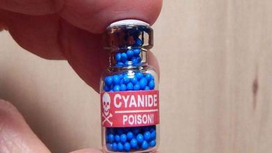 Photo of हल्द्वानी के गोरापड़ाव में कक्षा दो में पढ़ने वाले बच्चे की लगार हो रही उल्टी दस्त के कारण हुई मौत