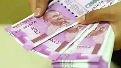 Photo of इस बिजनेस को शुरू करने के लिए आपको थोड़े से निवेश की है जरूरत, हर महीने होगी लाखों की कमाई…