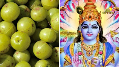 Photo of जानिए क्या है आंवला नवमी व्रत की कथा और पूजन विधि