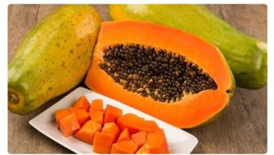 Photo of कुछ लोगों के लिए पपीता का सेवन होता है जहर