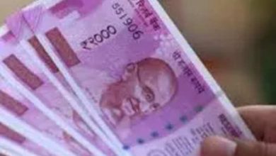 Photo of इस शेयर ने निवेशकों को किया मालामाल, 12 दिन में दिया दोगुना रिटर्न