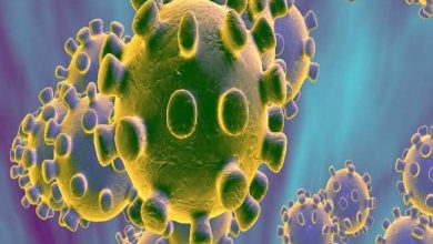 Photo of पुष्कर में नौ लोग हुए कोरोना पाजिटिव, अब तक 76 की गई जान