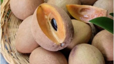 Photo of सर्दी-ज़ुकाम को दूर करने के लिए खाए ये फल