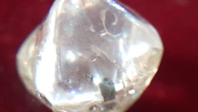 Photo of नीलामी के दौरान मुंबई के व्‍यापारी ने एक करोड़ 62 लाख में खरीदा पन्‍ना का ये नायाब हीरा