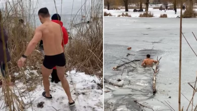 Photo of पानी में डूब रहे कुत्ते को बचाने के लिए कड़कड़ाती ठंड में नदी में कूदा ये शख्स, वायरल हुआ वीडियो…