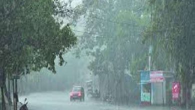 Photo of बिहार में फिर से बदला मौसम, पटना सहित इन जिलों में बारिश होने का है अनुमान….