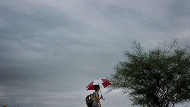 Photo of बिहार में फिर से बदलने वाला है मौसम, पटना मौसम केंद्र ने जारी किया पूर्वानुमान
