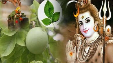 Photo of जाने क्यों शिव जी को नहीं चढ़ती तुसली, पढ़े पूरी खबर