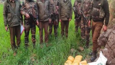 Photo of बालाकोट सेक्टर में सेना के संयुक्त दल ने एलओसी पर हेरोइन के 15 पैकेट किए बरामद, पाकिस्तान की ओर से फेंके जाने की आशंका…