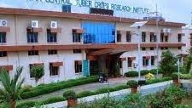 Photo of CTCRI में इस पद पर मिल रहा है आकर्षक वेतन, करे अप्लाई