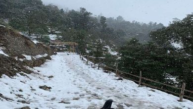 Photo of 9 फरवरी को कुमाऊं मंडल के अधिकांश स्थानों पर हल्की से मध्यम बारिश की जताई संभावना