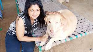 Photo of सरकारी नौकरी छोड़कर रोजाना आवारा कुत्तों खाना खिलाती है ये महिला….