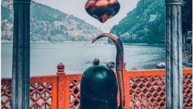 Photo of महाशिवरात्रि पर शिवलिंग पर भूलकर भी अर्पित न करें ये 7 चीजें, नाराज हो जाएंगे भगवान शिव