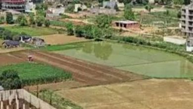 Photo of सरकार ने दी मास्टर प्लान क्षेत्रों में भूमि उपयोग के परिवर्तन की मंजूरी, एचयूडीडी के पोर्टल पर ऐसे करे आवेदन