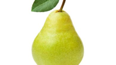 Photo of हैंगओवर उतारने के लिए ऐसे करें नाशपाती का सेवन, जल्द मिलेगा आराम