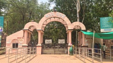 Photo of कानन पेंडारी जू में 13 दिन के भीतर एक और भालू ने तोड़ा दम…