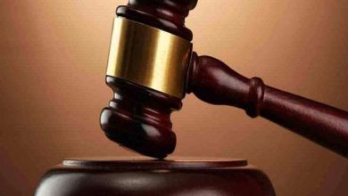 Photo of हाई कोर्ट ने अलग-अलग संप्रदाय के प्रेमी जोड़े की सुरक्षा को लेकर दायर याचिका पर की सुनवाई…