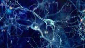 Photo of रिफ्ट वैली फीवर वायरस पर ये बड़ी खोज आई सामने, पढ़े पूरी खबर