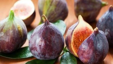 Photo of अंजीर खाने से सेहत को होते हैं ये कमाल के लाभ, जानें फायदे…