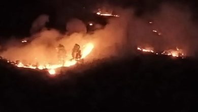 Photo of उत्तराखंड के जंगलों में लगी भीषण आग, काबू पाने में वन विभाग के…￼