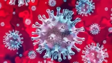 Photo of देश में पिछले 24 घंटे में आये कोरोना के 2,067 नए मामले