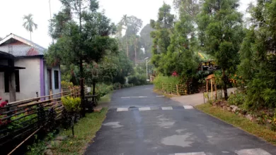 Photo of अगर आप भी कर रहे हैं शिलांग घूमने का प्लान, तो जरूर जाएं इन 10 जगहों पर