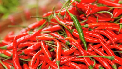 Photo of जान ले लाल मिर्च से होने वाले ये कमाल के फायदे￼