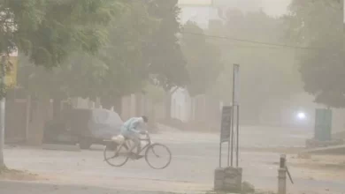 Photo of यूपी में बारिश ने मचाई तबाही, दीवार ढहने से…