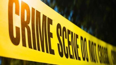 Photo of मीरजापुर में जंगली जानवर ने बनाया छत्‍तीसगढ़ के युवक को अपना निवाला, पुलिस ने परिजनों से संंपर्क साधा…