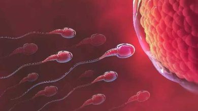 Photo of स्पर्म काउंट को हेल्दी बनाने के लिए करें ये आसान उपाय￼