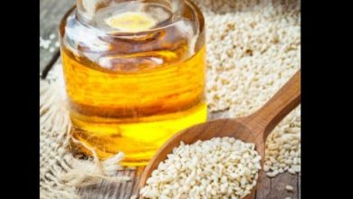 Photo of बाल और त्वचा दोनों के लिए बेहतरीन है तिल का तेल, ऐसे करें इस्तेमाल
