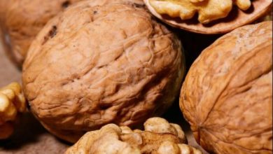 Photo of जाने रोजाना खाली पेट अखरोट खाने के फायदों के बारे में….