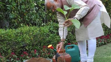 Photo of पीएम मोदी ने दी विश्व पर्यावरण दिवस की शुभकामनाएं, दिया ये खास संदेश…￼