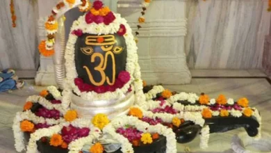 Photo of तो इसलिए नहीं करनी चाहिए कुंवारी लड़कियों को शिवलिंग की पूजा