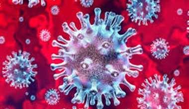 Photo of रायपुर में सर्वाधिक 250 समेत राज्य में हैं कोरोना के 1021 सक्रिय मरीज, पाजिटिविटी दर 2.06 प्रतिशत 