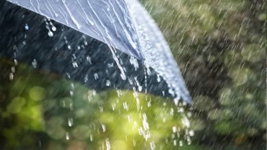 Photo of आज से यूपी में झमाझम बारिश, कई जिलो में ऑरेंज अलर्ट जारी