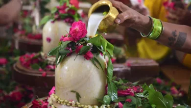 Photo of घर में इन पौधों को लगाकर करें सावन की शुरुआत
