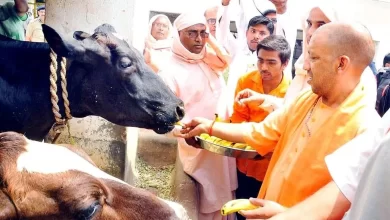 Photo of योगी सरकार का बड़ा फैसला, प्रतिदिन कम से कम 10 आवारा गायों को आश्रय प्रदान करने का रखा लक्ष्य