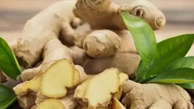 Photo of अदरक के इस्तेमाल से जाने किन परेशानियों से छुटकारा मिल सकता है