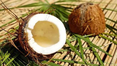 Photo of कच्चे नारियल के सेवन से सेहत को होते हैं ये कमाल के फायदे