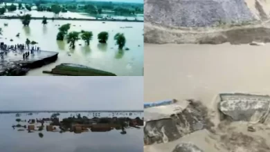 Photo of पाकिस्तान: बाढ़ के चलते शुरू हुई खाने-पीने की किल्लत, सामने आए ये डरावने आंकड़े