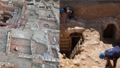 Photo of इजराइल के बेडौइन शहर में मिला 1200 साल पुराना महल, जिसे देख सभी हो गए हैरान ￼