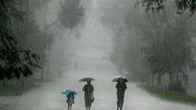 Photo of ओडिशा में भीषण बारिश के चलते सरकार ने लिए बड़ा फैसला, महिलाओं को मुफ्त में मिलेगा…