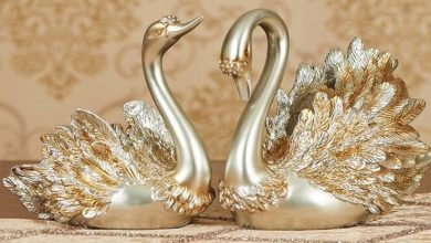 Photo of घर में खाने के लिए बेस्ट माने जाते हैं ये स्‍टैच्‍यू, माने जाते हैं बेहद शुभ