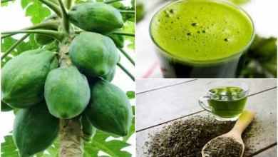 Photo of डायबिटीज और बालों के लिए फायदेमंद है पपीते के पत्ते