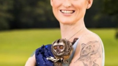 Photo of जानवरों को कुछ इस तरह से प्यार करती हैं ये महिला, जानकर हो जाओगे हैरान..￼￼