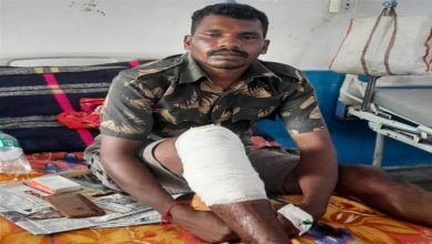Photo of सतपुड़ा टाइगर रिजर्व की चूरना रेंज में ड्यूटी के दौरान एक चौकीदार पर भालू ने किया हमला