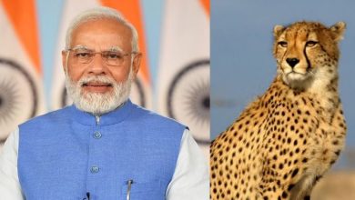 Photo of PM मोदी ने चीतों के नामकरण को लेकर लोगों से मांगा सुझाव…