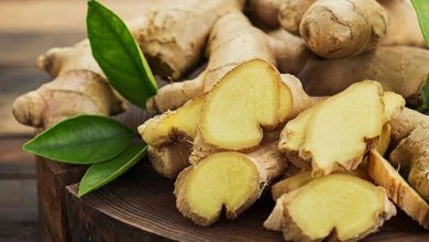 Photo of अदरक का एक टुकड़ा है बेहद फायदेमंद , जानें खाने का सही तरीका