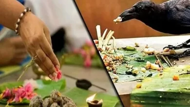Photo of पितृपक्ष में श्राद्ध के समय इन नियमों का जरुर करें पालन